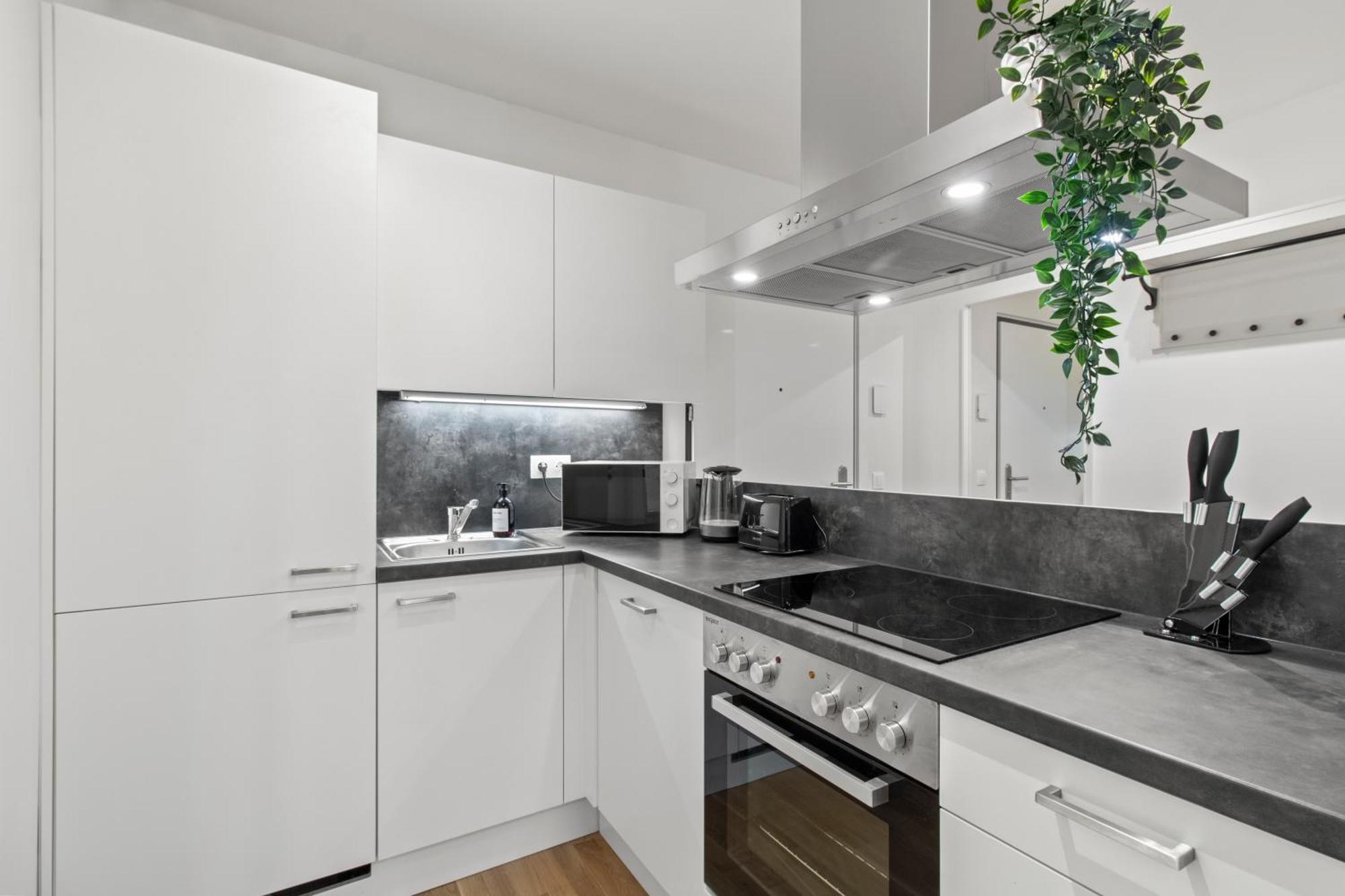 Balcony Apartment I 50 M² I Near City Center Vienne Extérieur photo